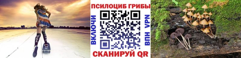 хочу наркоту  Биробиджан  Галлюциногенные грибы MAGIC MUSHROOMS 