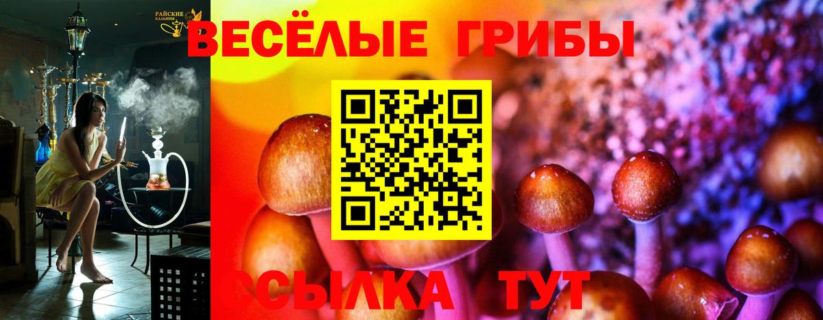 Биробиджан  Галлюциногенные грибы ЛСД  Псилоцибиновые грибы мицелий  Вход с VPN 